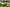 Production update