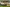 Production update